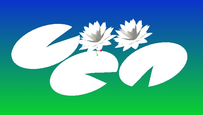 漂亮的睡莲